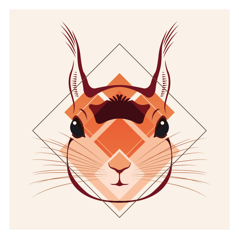 Eichhörnchen